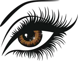 Contact Ogden Lash and Wax in Ogden, UT