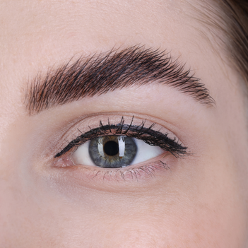 Ogden Lash And Wax Brow Lamination — Ogden Lash and Wax, Ogden UT